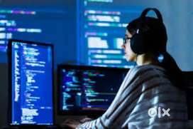Web Developer
