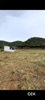 Farm land (immediate sale)