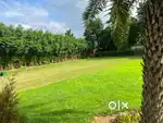 2000 gaj three side industrial plot for sale in nagli Sakrawati 12 cr
