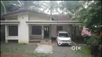വെങ്ങല്ലൂർ 3bhk വീട് വാടകക്ക്