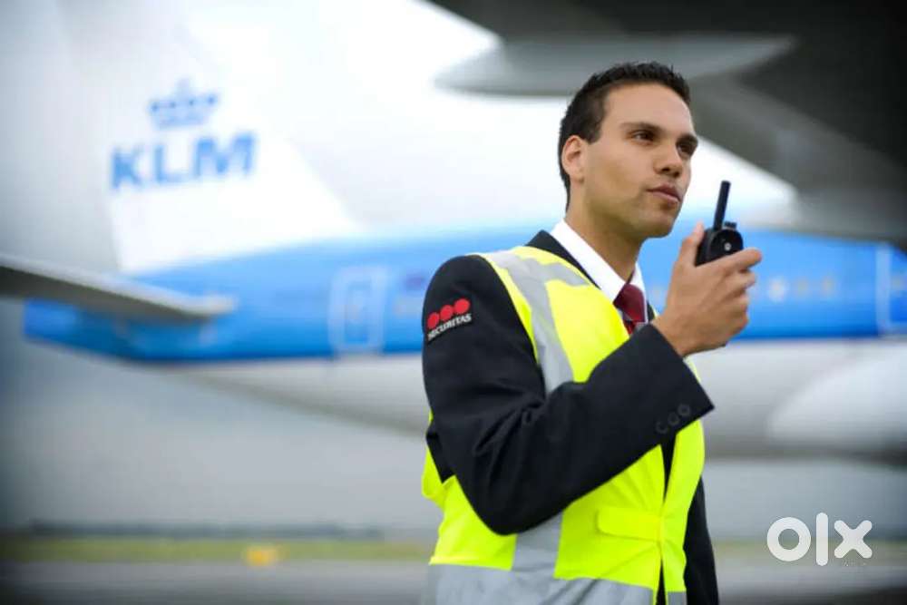 Airport security guard/male/female