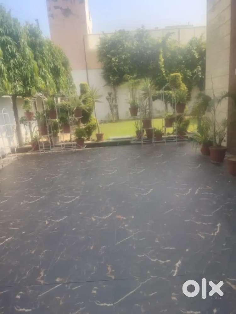 To let service in Patiala
