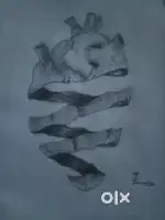 Hand sketch