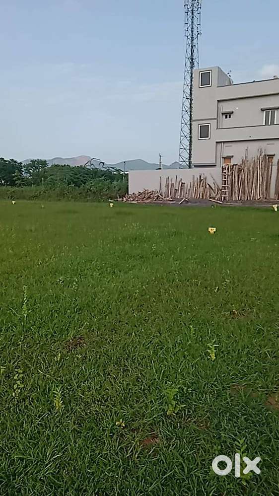 Amaravathi northside kanchikacherla 100 square 4,20,000 fixed మాత్రమే