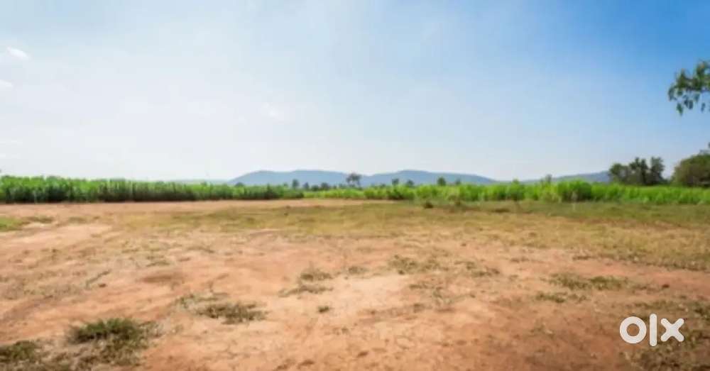 1.5 gonda kore 2 te plot