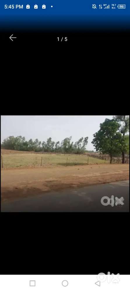 Rewa mein sasta plant Vipin ya chauhata ajgaraha se sirmorChauraha rat