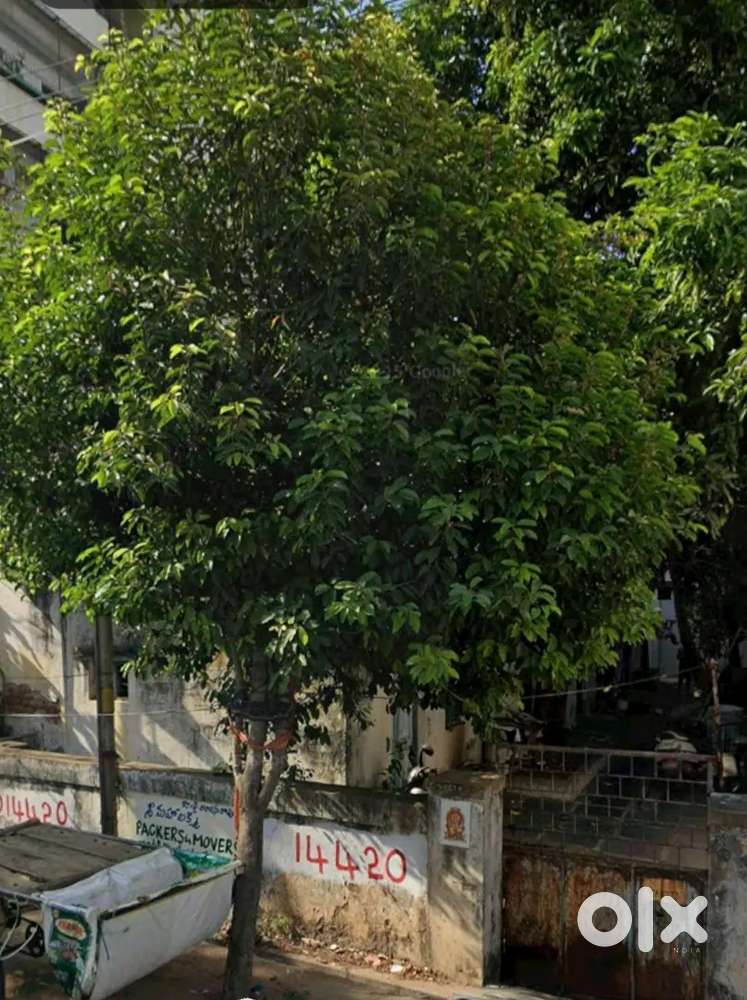 House for sale at land price only Ankanam 420000