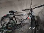 25 inch cycle