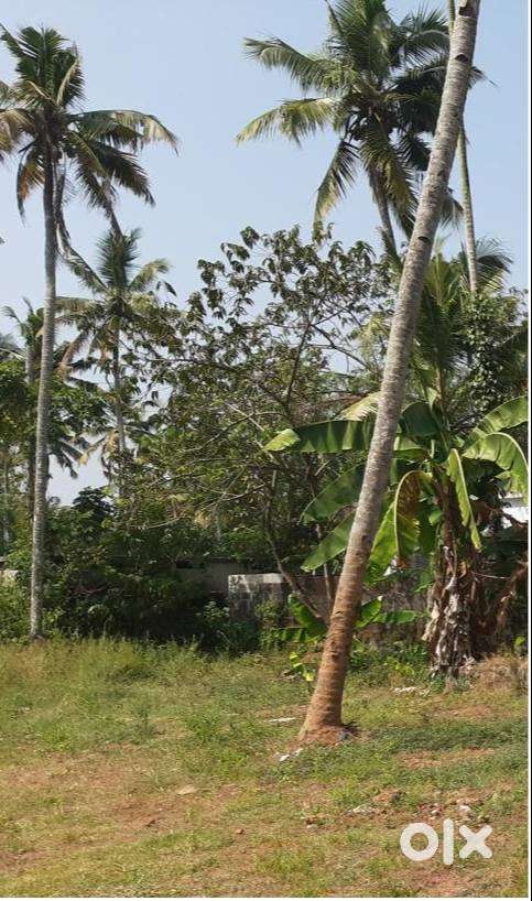 Inner Road Land Piece of 48 cents-50 meters from Kacheri Junction