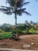 വൈക്കം 10 സെന്റ് സ്ഥലം വിൽപ്പനയ്ക്ക്