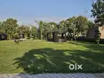 300 Sqyards Plot For in Omaxe Phase 3 New Chandigarh.