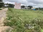 Site no: 27