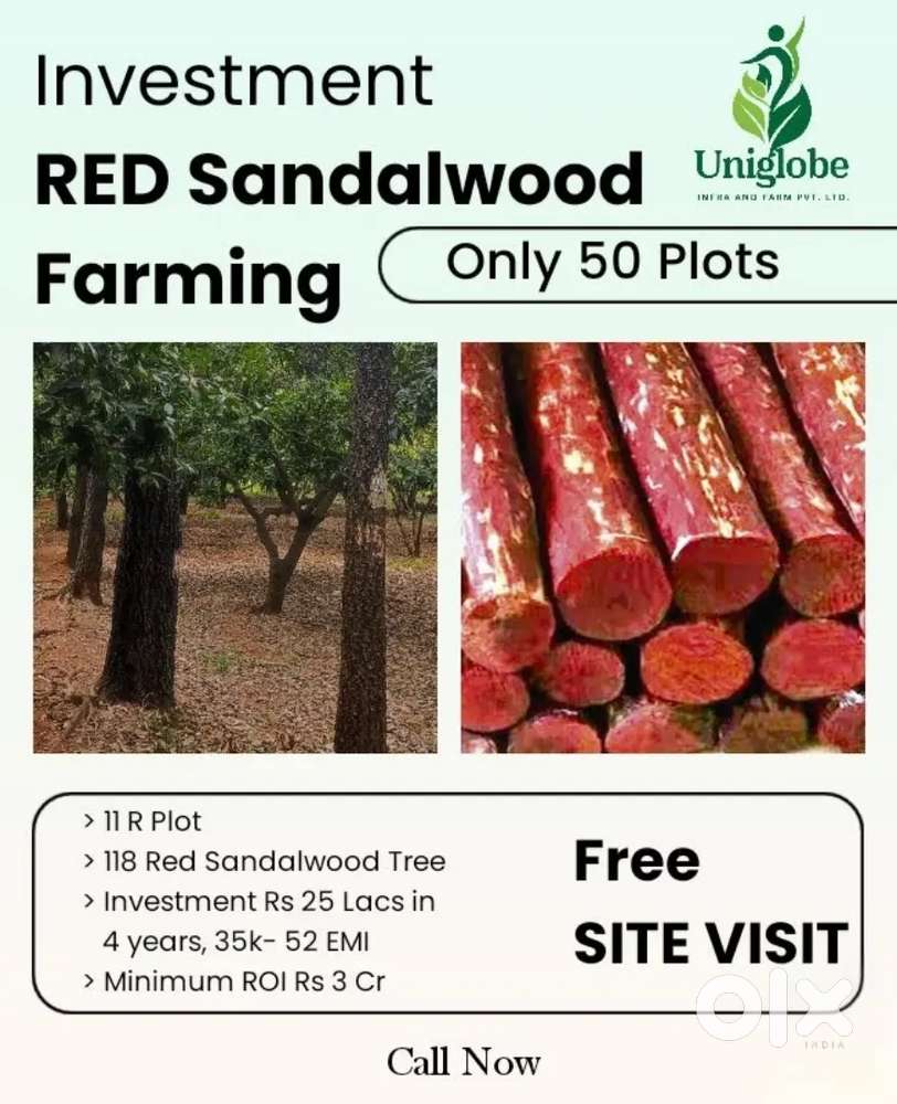Red Sandalwood Farming and Resort