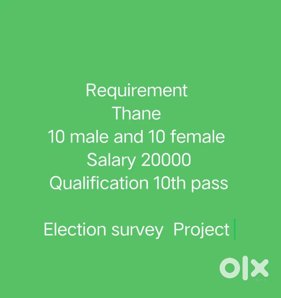 Survey officer