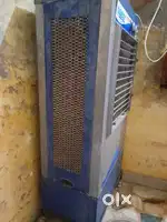 Cooler best conditions