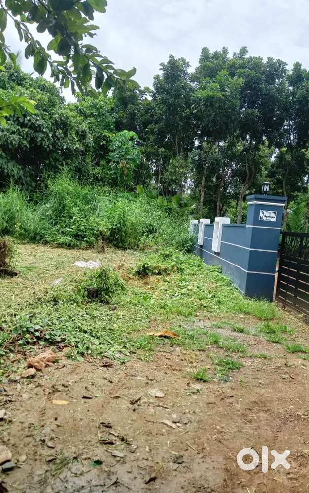 അകതിയുർ/ മേലെ പട്ടിത്തടം