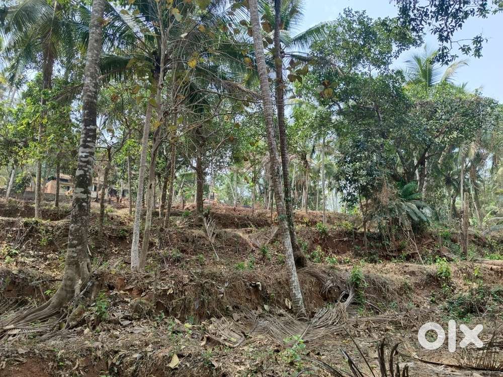 Plot for Sale