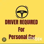 Driver job for real estate company only bihar ke log message kare