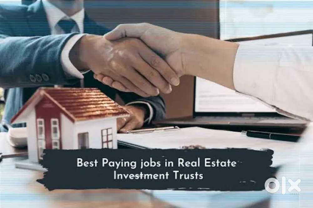 20 people wanted real estate 30k income