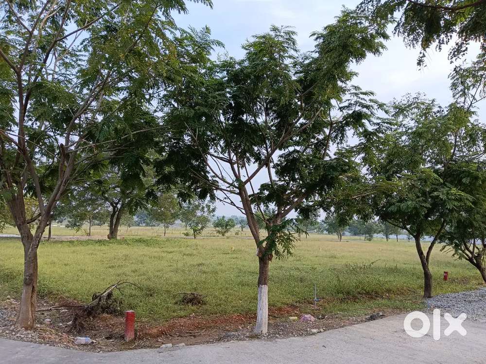 Approved plots nearby IIT, IISER INSTITUTES Tirupati