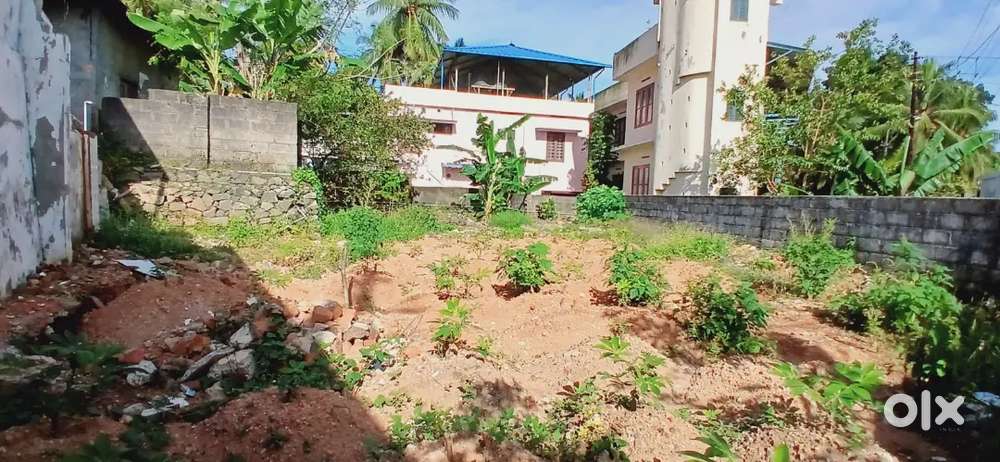 7.15 cent Pand for sale near kovalam bypass - Prime location