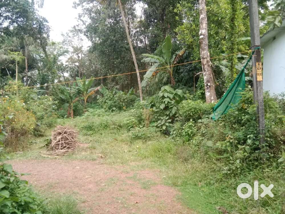 12 sent plot for sale pathamuttam