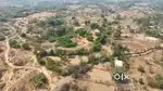 5 Acres Alibaug land