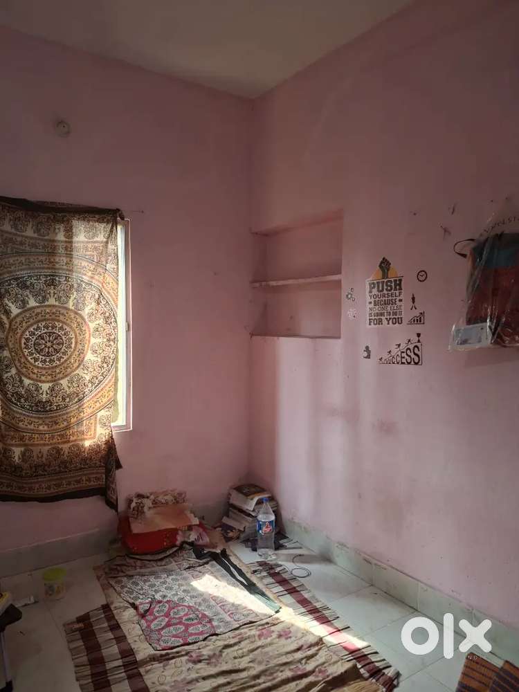 Need A Bachelor student