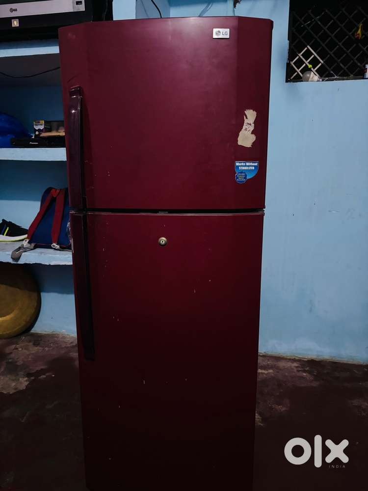 LG fridge double door well, maintain
