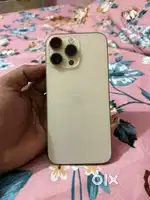 14 pro max