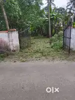 10cent plot for sale