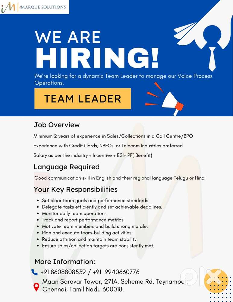 Team Leader - Voice Process