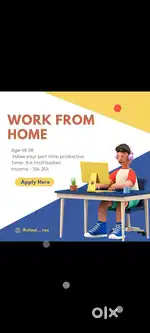 Work from home (part time work)