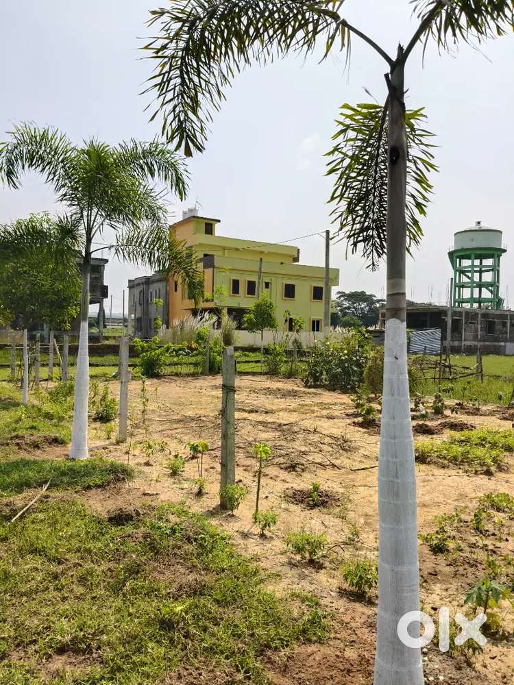 Gharabari converted plot at Trinath bazar