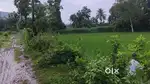 Farming land