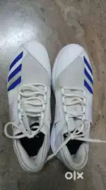Adidas howzat 20 spikes