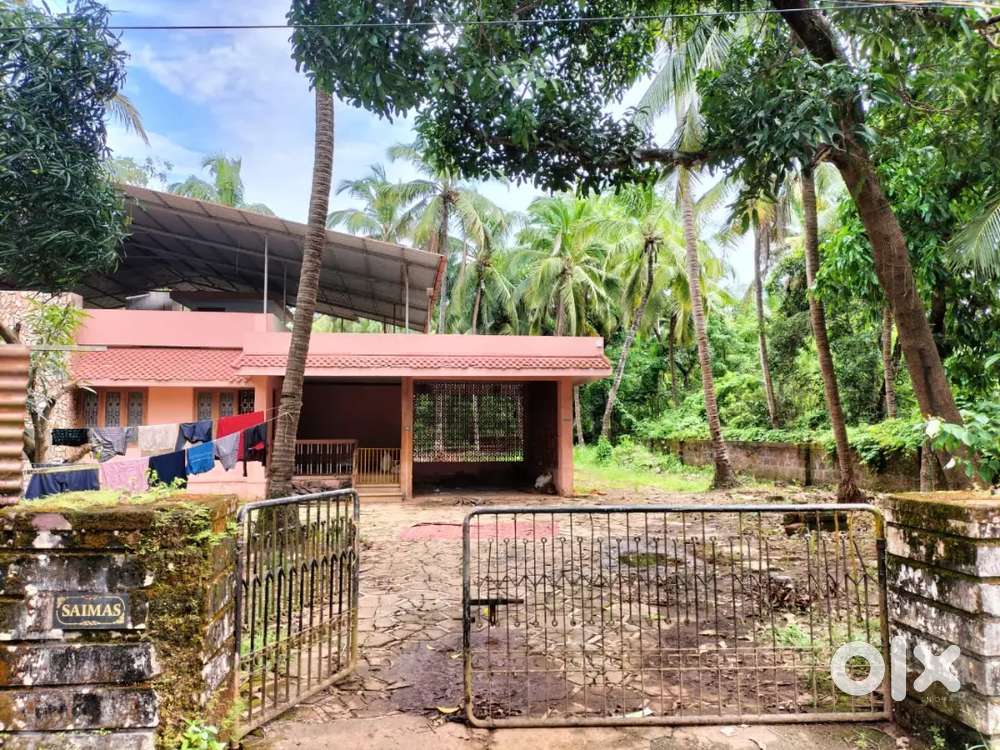 COMMERCIAL HOUSE FOR RENT