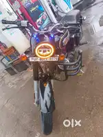 Black stander