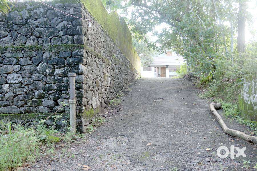 House plot 18 cents at Ammancherry 2 nd plot 3.5 lakh/cent