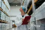 MEDICAL WAREHOUSE PACKING  HELPER  LOADING UNLOADING VACANCY AVAILABLE