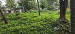 Plot for sale near karuvan padi