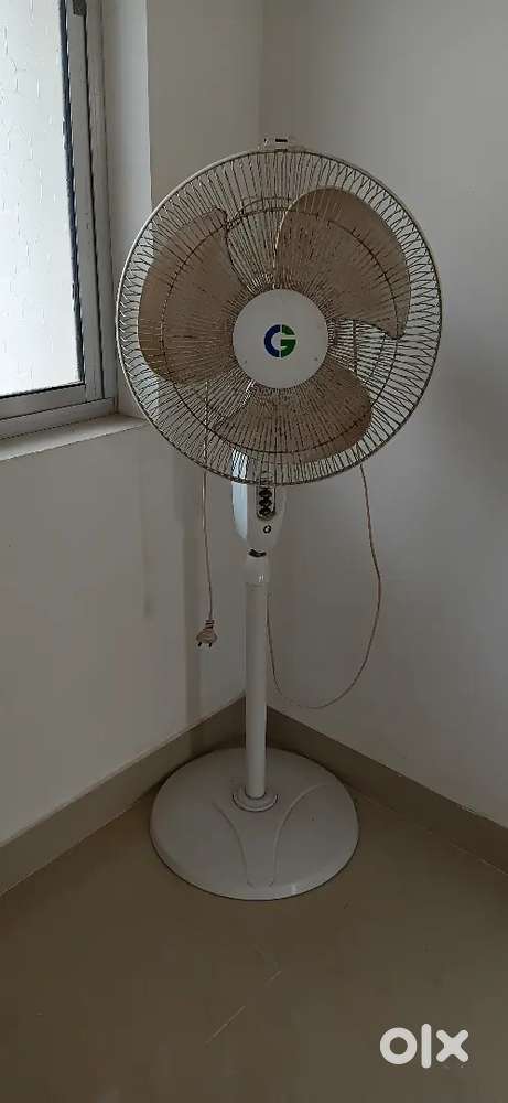 Stand Fan for Sale