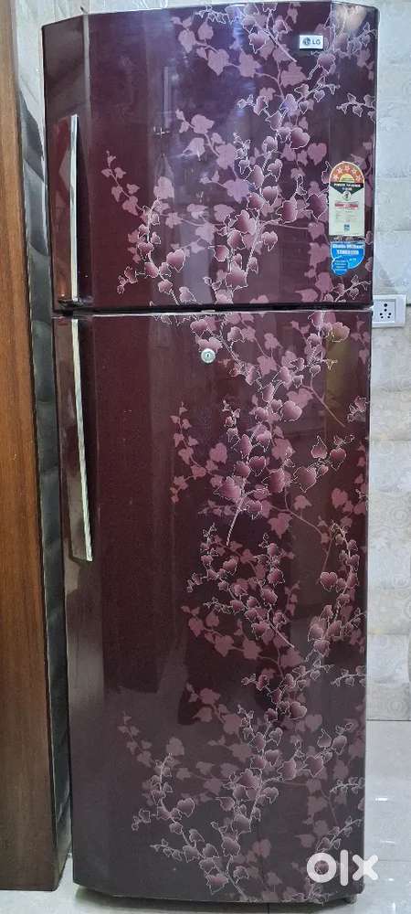 LG 320 L Double Door Fridges