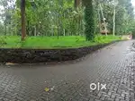 10 cent panchayathu road side Mulanthuruthy