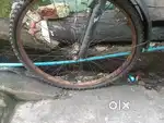 Cycle rimulu machkovai