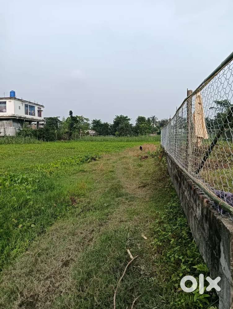 Urgent need . Miyadi land