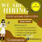 Telecalling Executive