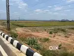 25 cents  new outer bypass highway facing and service road corner
