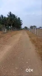 2 ACRE AGRI LAND FOR SALE