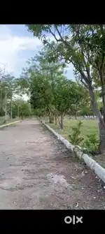 Indresam 150,300 sqds for Sale